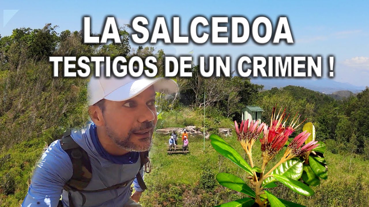 LA SALCEDOA TESTIGOS DE UN CRIMEN !
