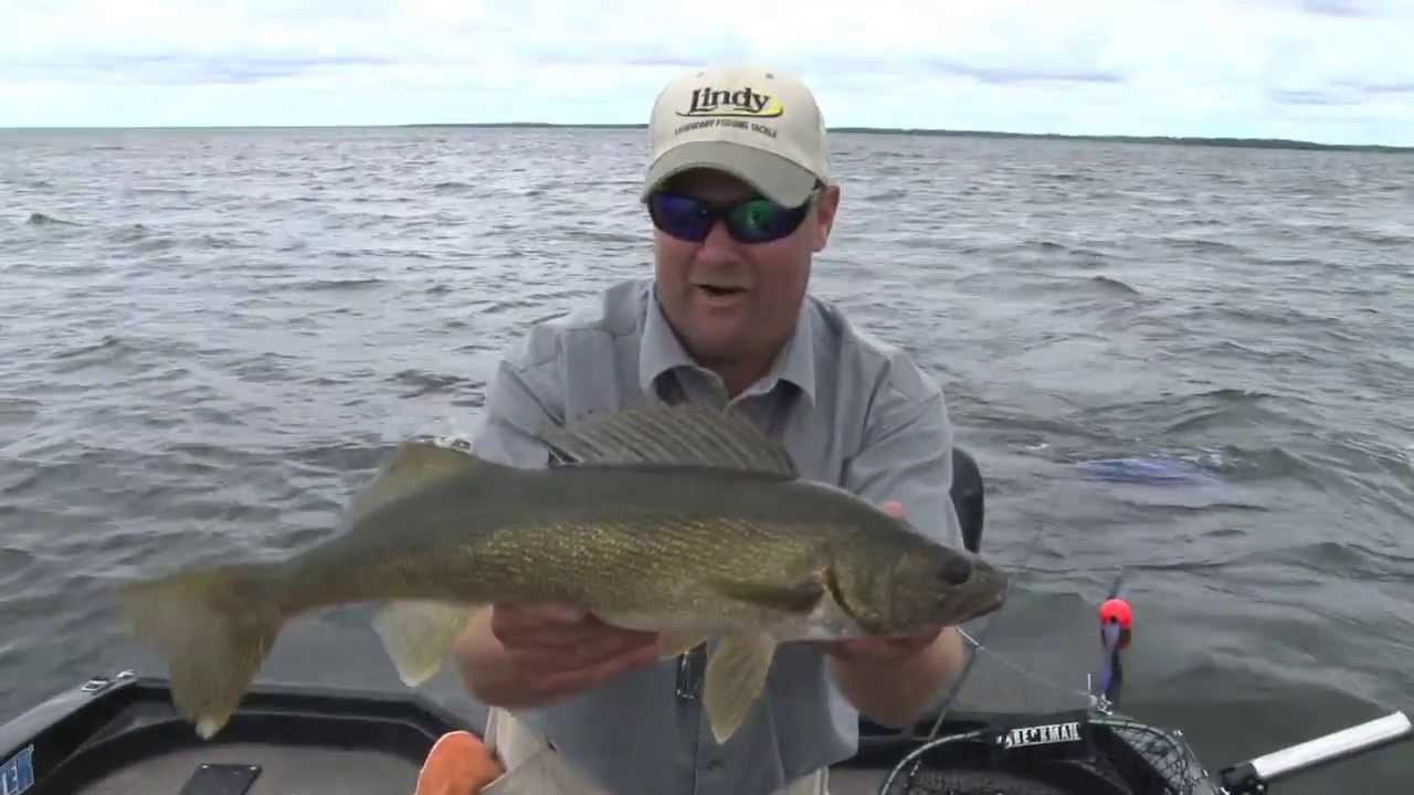 Fish Ed 016 How to Catch Windy Day Walleye
