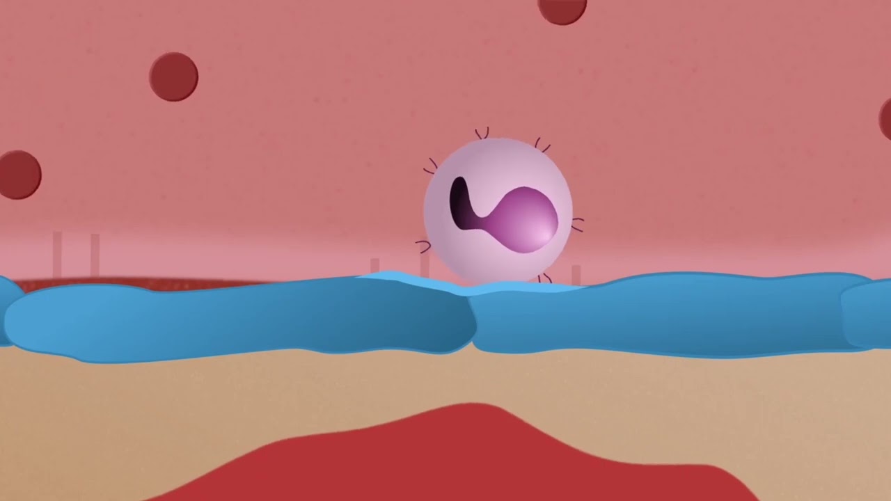 Duralactin- Pets Tell Our Story