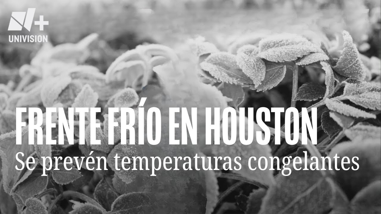 Temperaturas por debajo del punto de congelación: Houston se prepara para el frente ártico