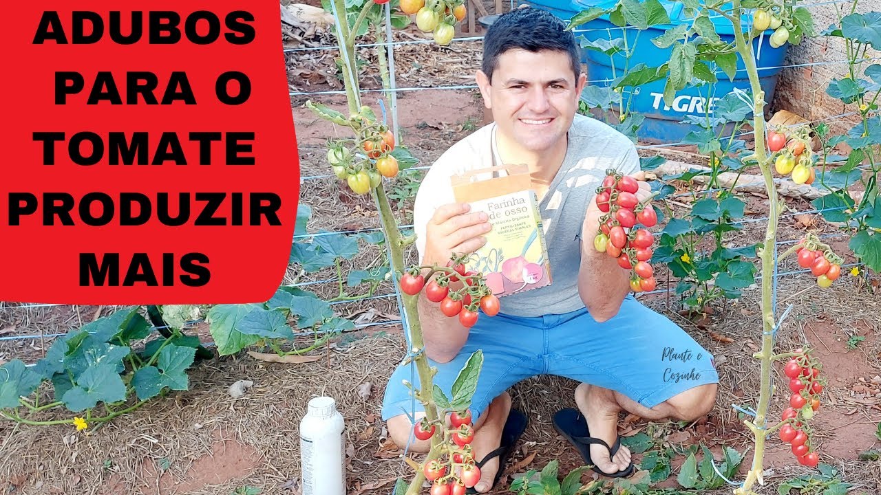 ADUBOS para fazer o TOMATINHO CRESCER e FICAR DOCE. Adubos org&acirc;nicos e tipo NPK para tomate cereja