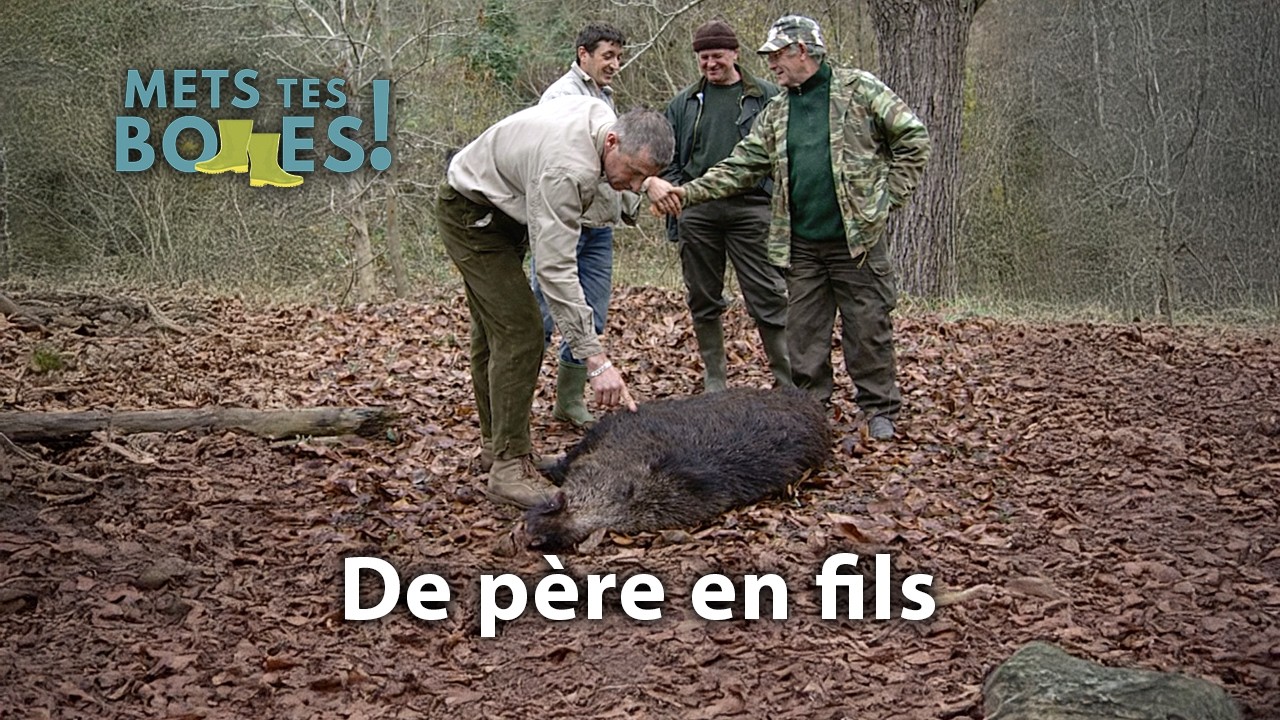 En Auvergne, on élève et on chasse ses sangliers