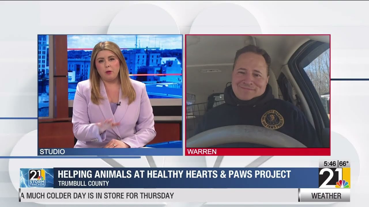 Helping animals at Healthy Hearts & Paws Project