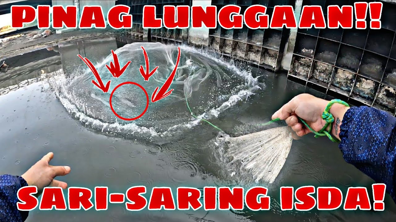 DITU NA SILA NAG LULUNGGA!!! NASAPUL KO SILANG LAHAT!!! SARI-SARING ISDA!!!