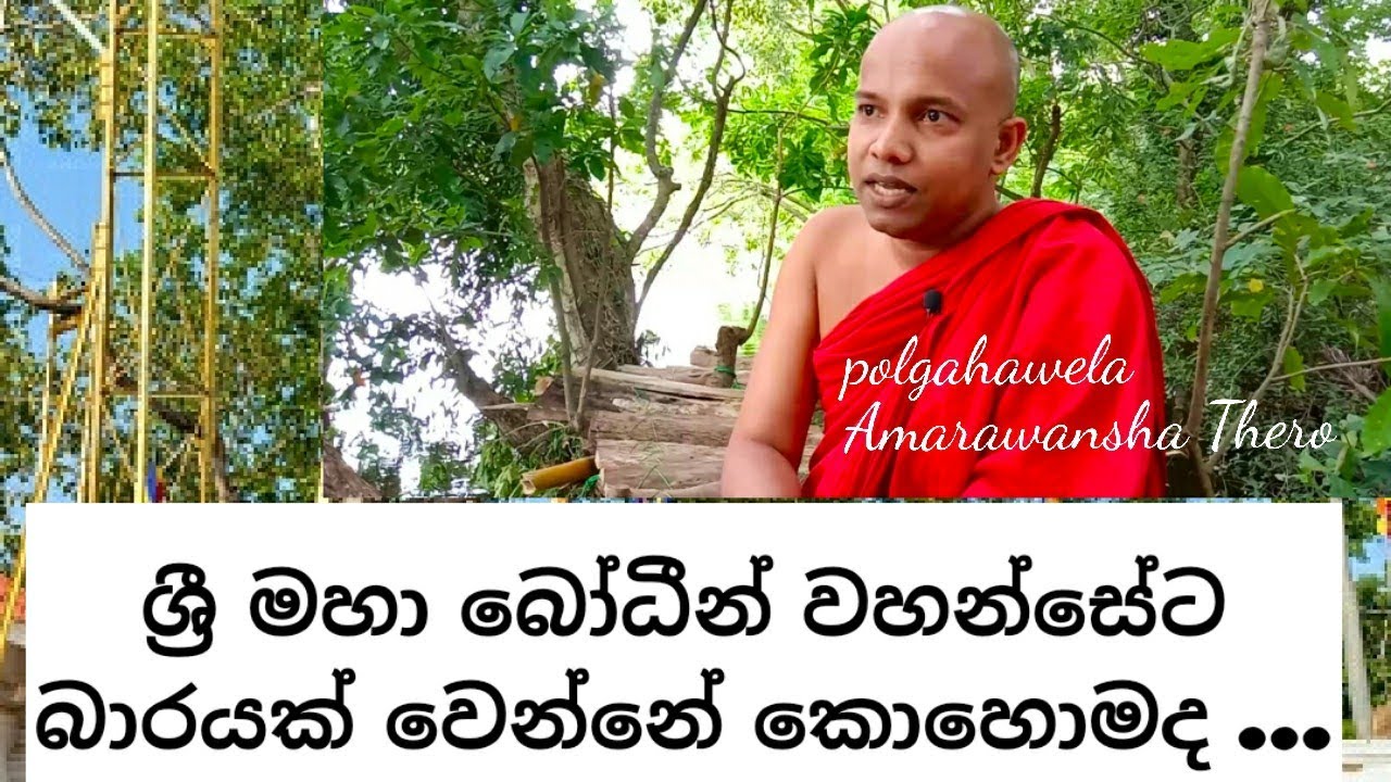 ජය ශ්‍රී මහා බෝධියට බාරයක් වෙන්නෙ කොහොමද | polgahawela Amarawansha Thero | wenayika tv