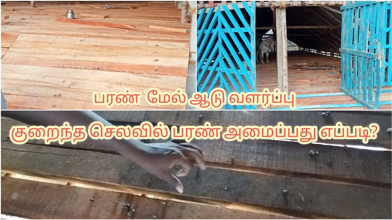 பரண் மேல் ஆடு வளர்ப்பு| paranmel aaduvalarppu|@Deltakaalnadaisanthai#tamilnadu#goatfarm