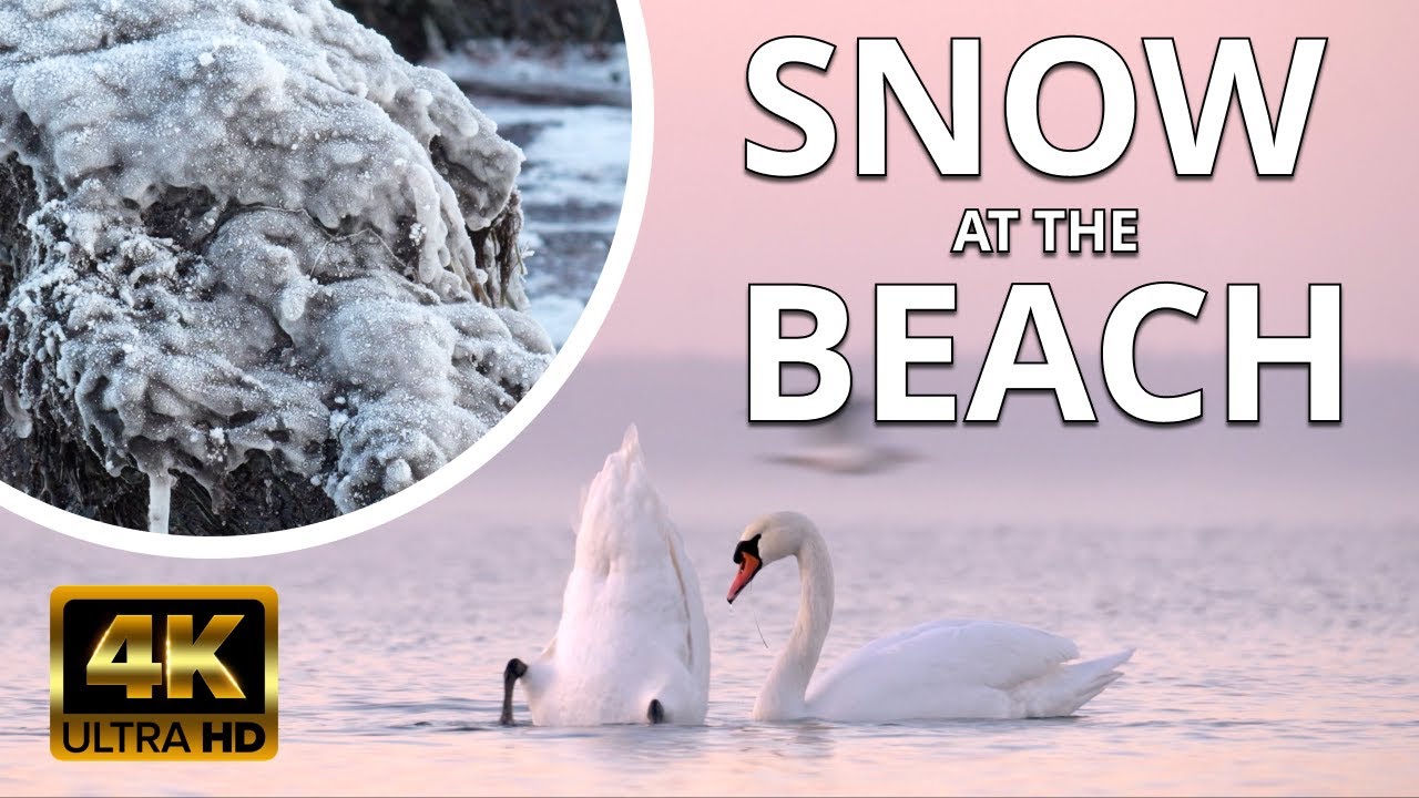 ❄️SNOW AT THE BEACH ❄️ - 4K - Germany in December