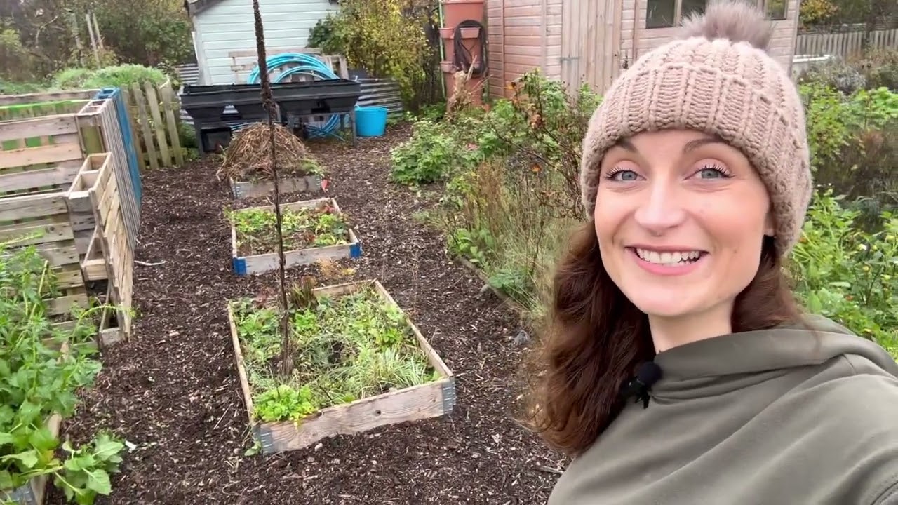 Welcome to My Little Allotment, introduction & first ever plot tour 👩🏻‍🌾