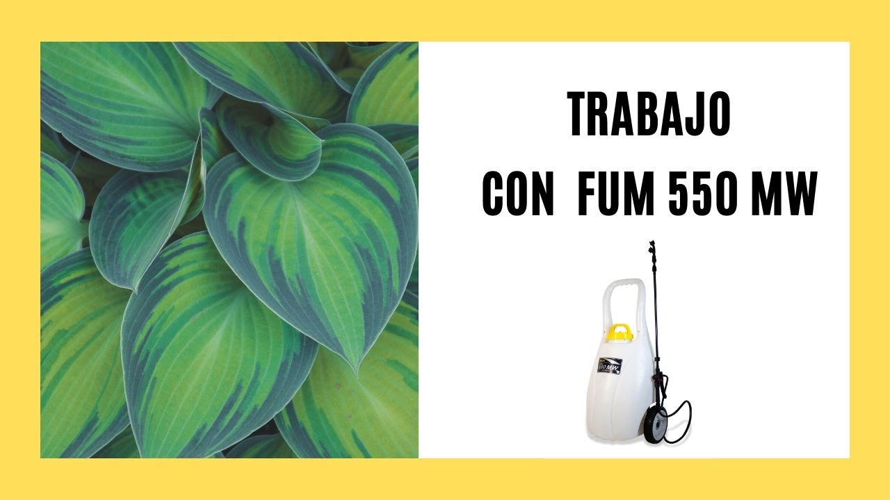 Garland Fum 550MW | Trabajo 02
