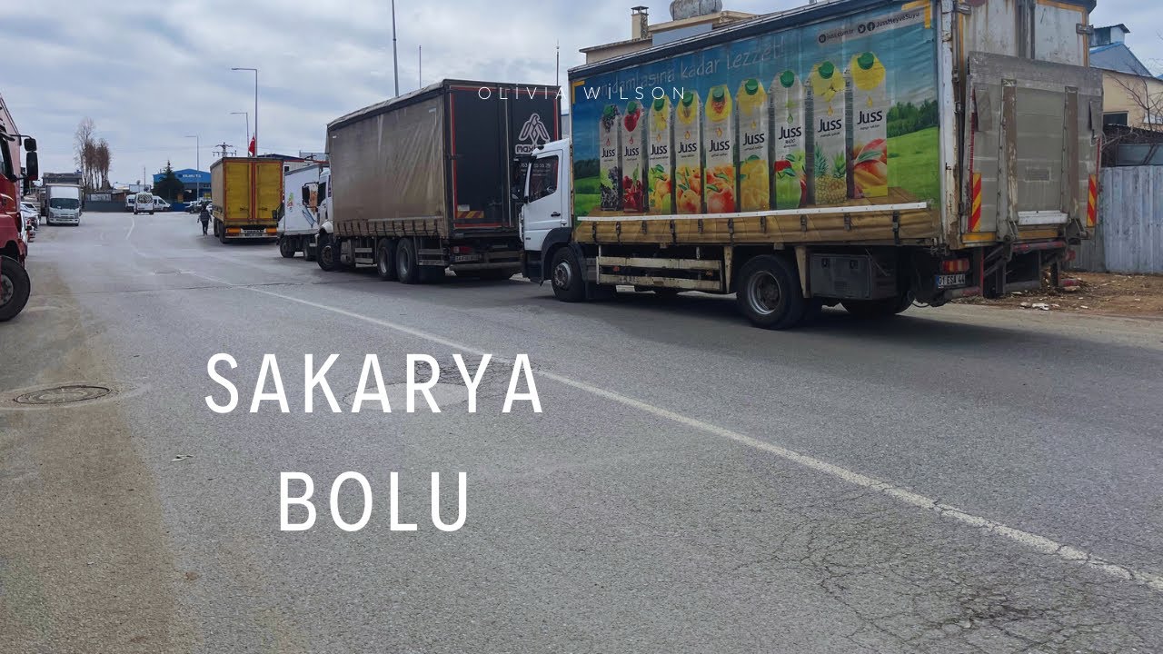 SAKARYA- BOLU KAMYON SEFERİ ~Mercedes Atego 1518 (23.03.2024)