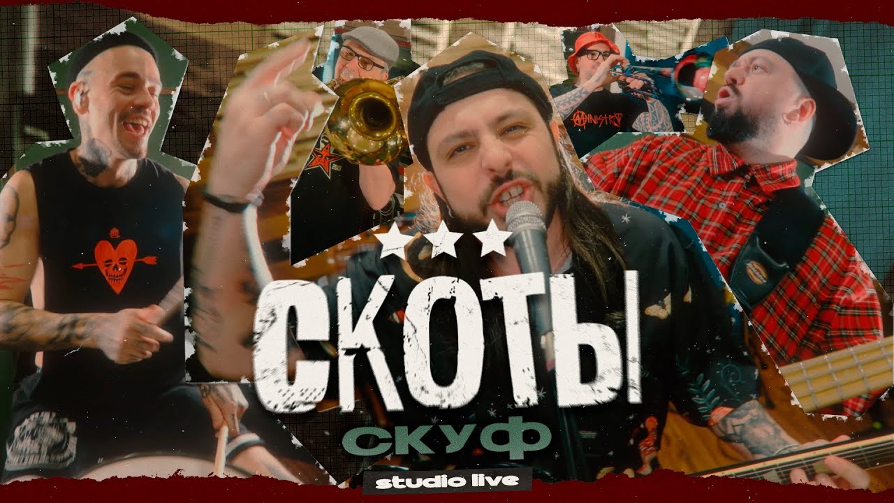 скоты - скуф / studio live