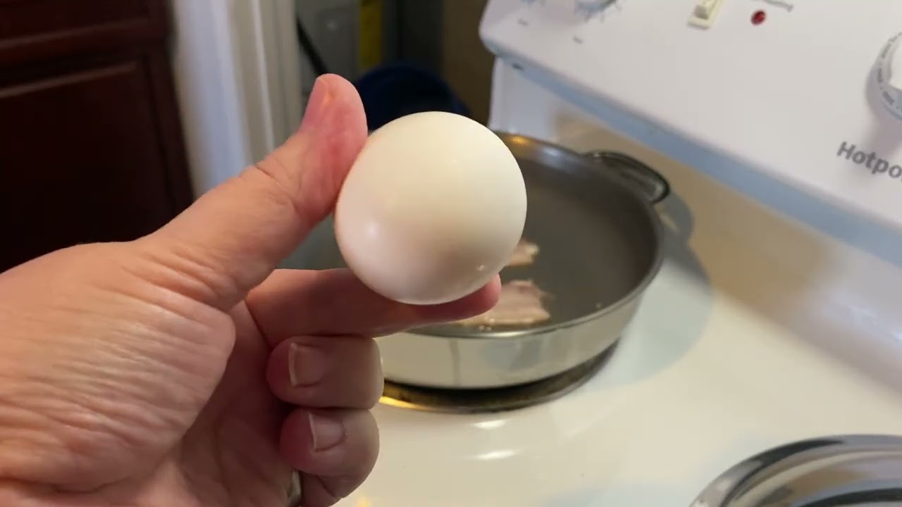 Bacon & egg | chit chat 