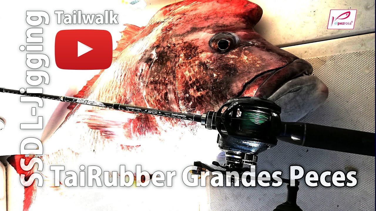 Pescando pargos. Recomendaciones para elegir tu equipo de Tai Rubber