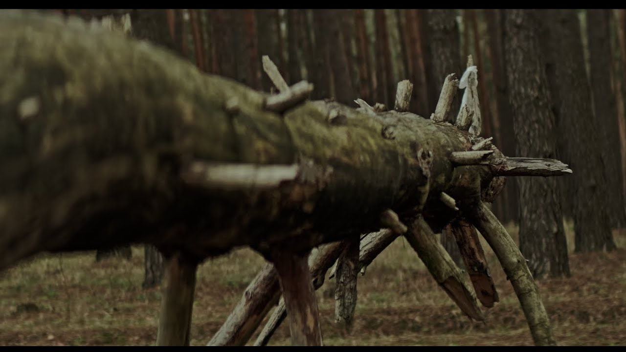 Blazar CATO 2X Anamorphic Lens  85 mm - WAR FOREST IRPIN