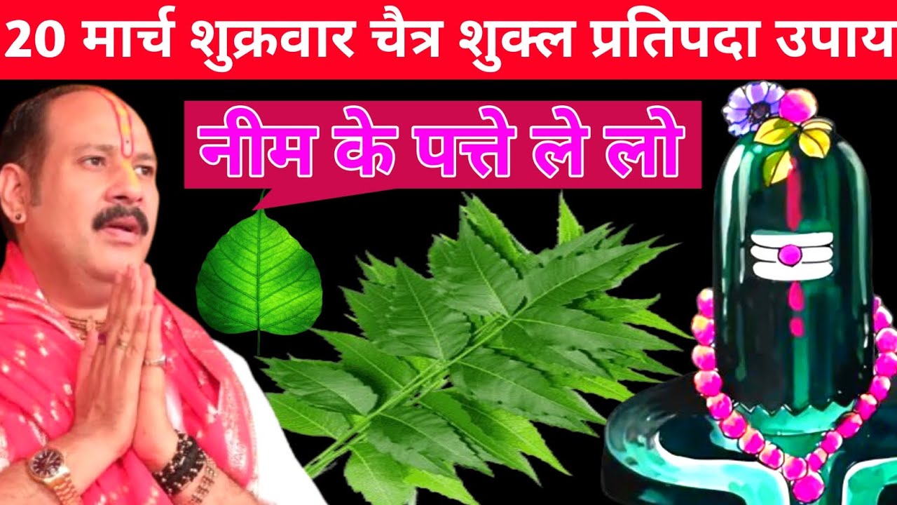 20 मार्च शुक्रवार चैत्र शुक्ल प्रतिपदा उपाय नीम के पत्ते ले लो ||@panditpradeepmishraofficial 🙏 