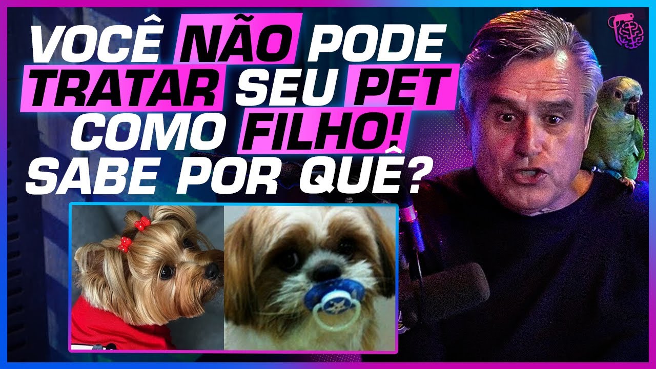URGENTE! PARE de TRATAR o seu CACHORRO do JEITO ERRADO - GILBERTO MIRANDA, DR. PET E CAVALLINI