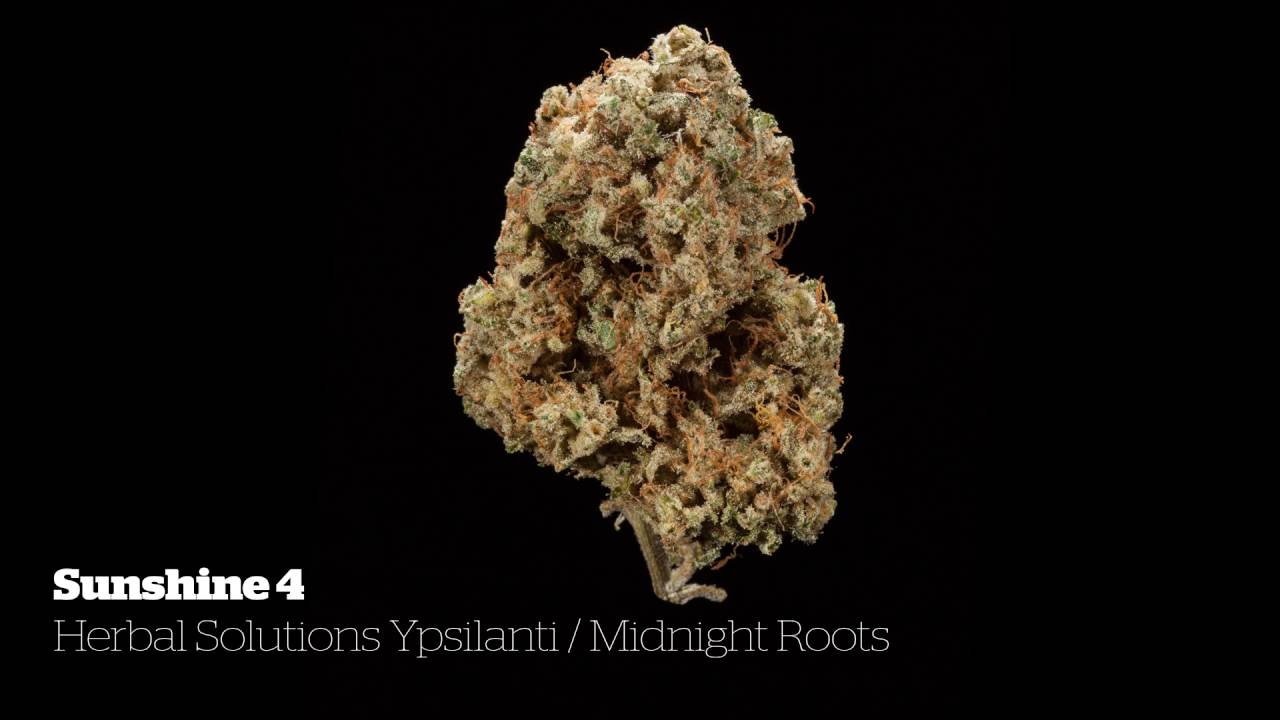 2016 Michigan Medical Cannabis Cup: Hybrid Flower Entries