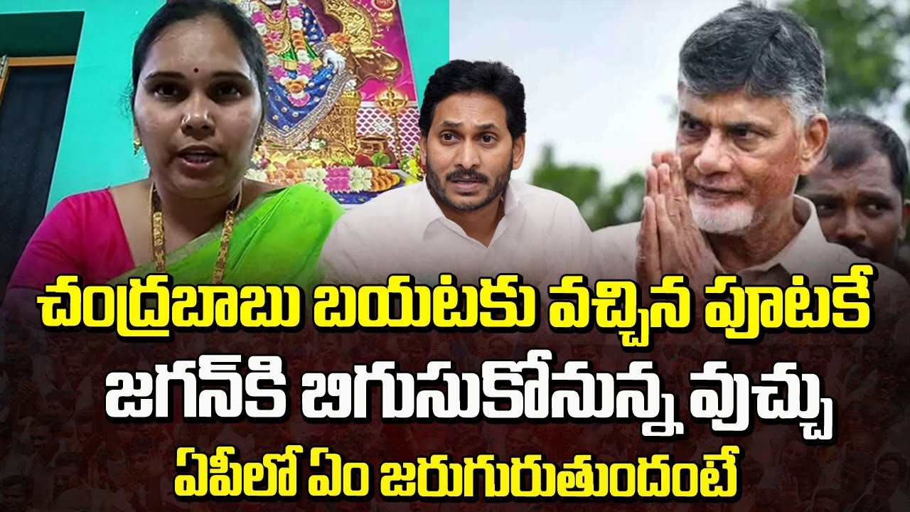 Lawyer Rajini Sensational Comments On Chandrababu Bail | Chandrababu Latest Telugu News | Ys Jagan