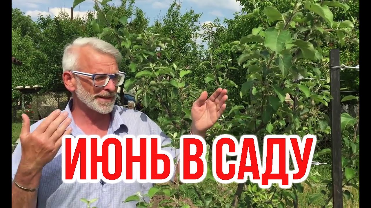 Садовые работы в июне (перезалив) / Игорь Билевич