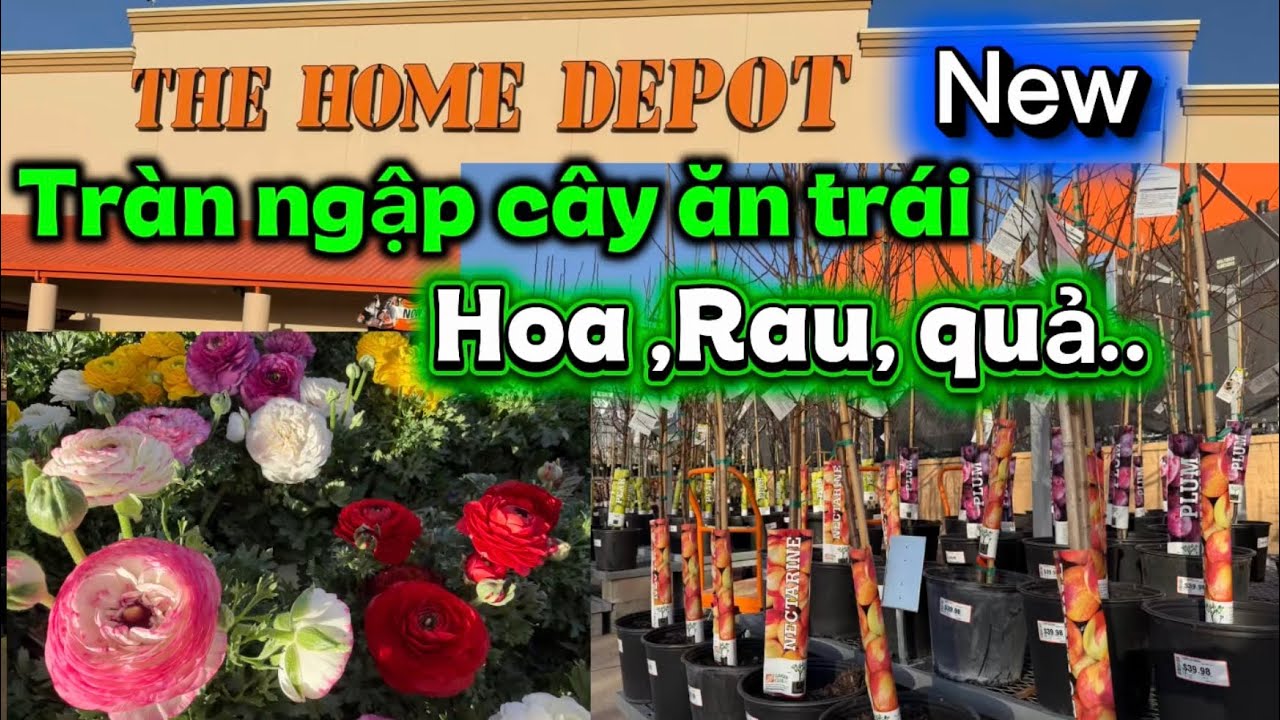 #276🇺🇸Home Depot hàng mới về tràn ngập cây ăn trái🍒🍓🍑Hoa,￼ rau, quả..🪴