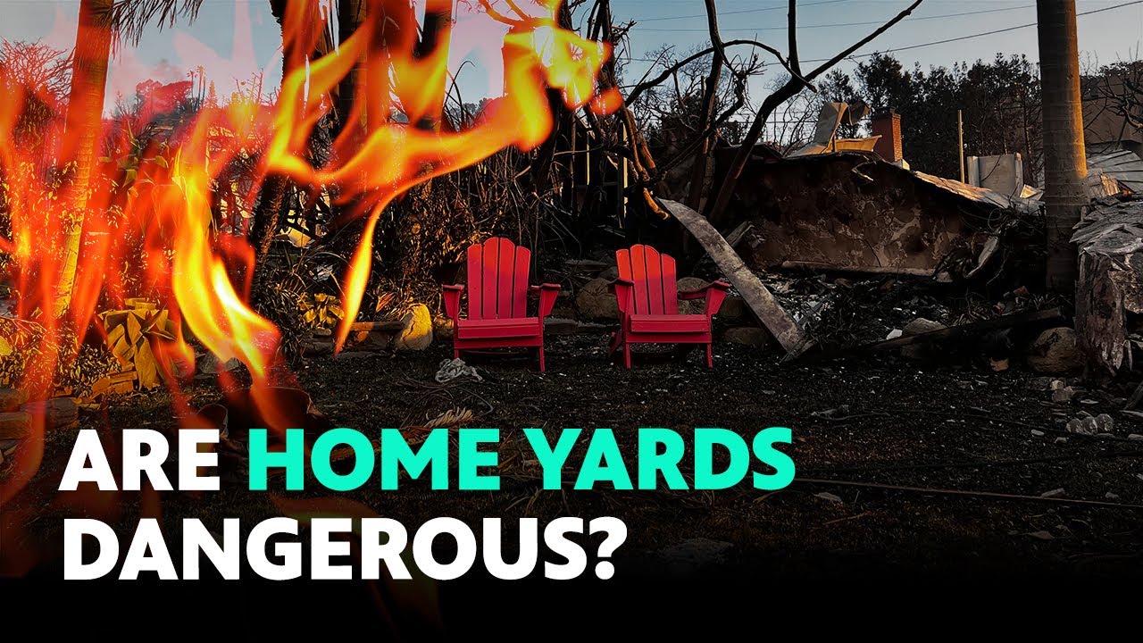 Goodbye Plants, Hello Fire Safety