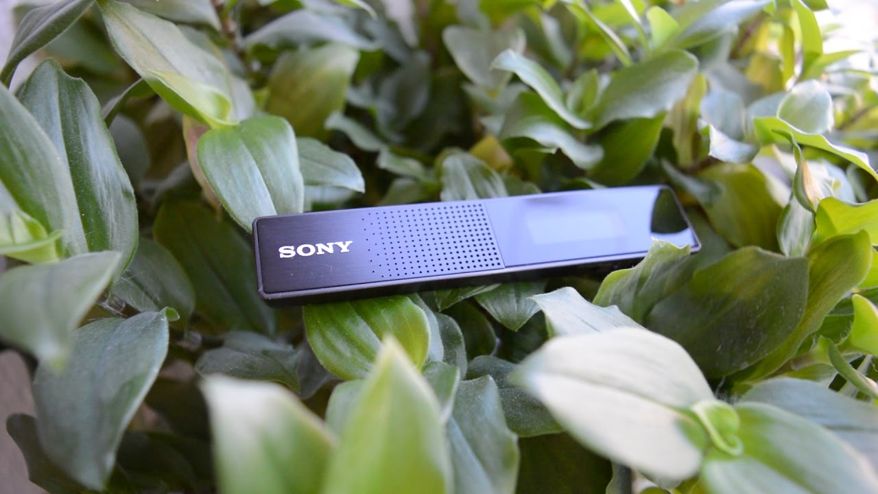 Обзор диктофона Sony ICD-TX650 / САМЫЙ СТИЛЬНЫЙ ИЗ ВСЕХ?