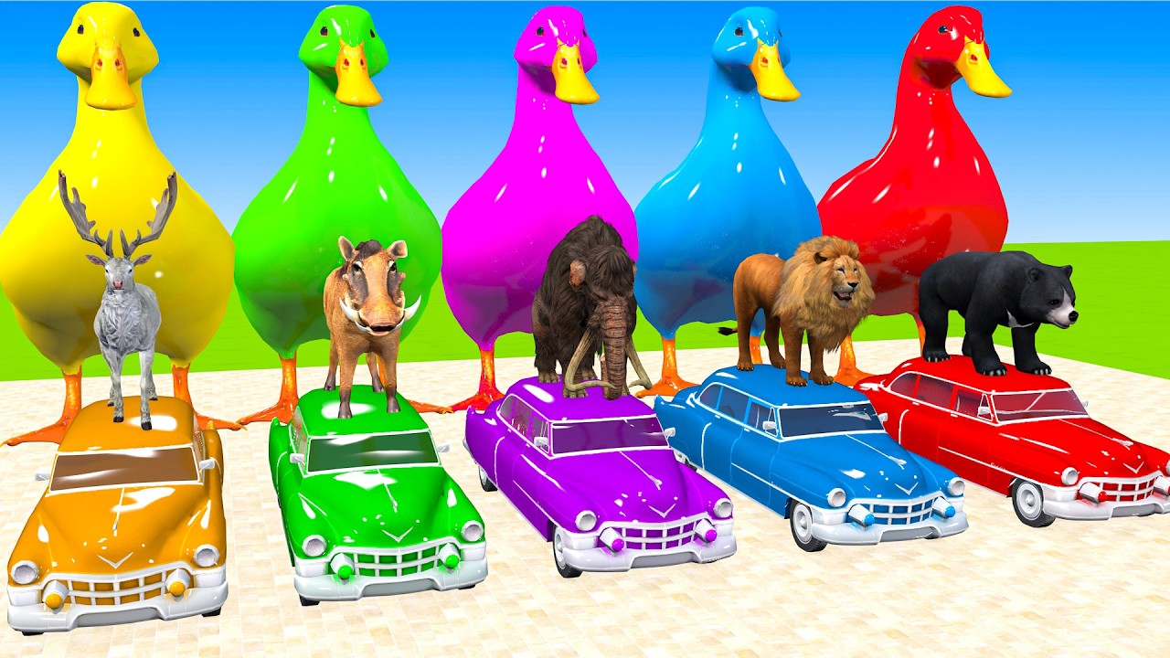 Long Slide Game With Cow Elephant Gorilla Hippopotamus Tiger 3d Animal Game Funny 3d Animals