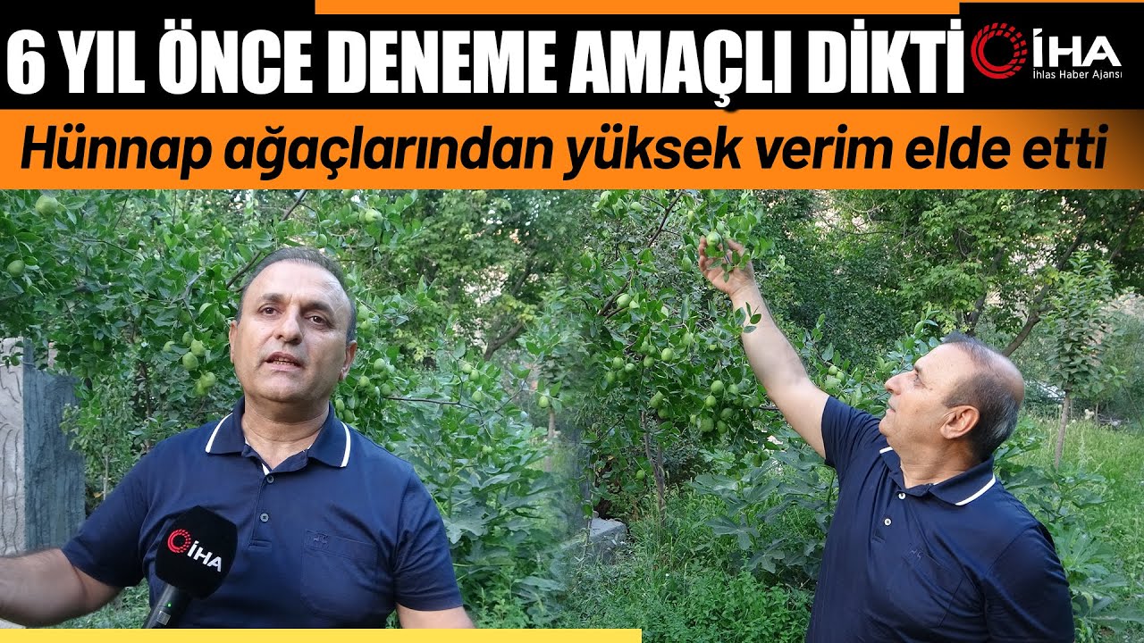 Malatya'da Alternatif Ürün Hünnaptan Yüksek Verim Alındı
