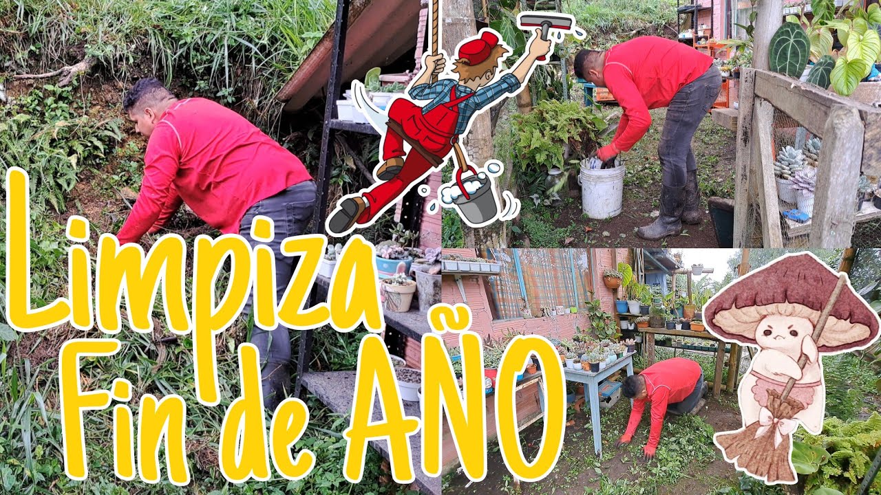 Limpieza de fin de año 🧹✨ deshierbando el invernadero y limpiando todo a su alrededor 🌿🏡