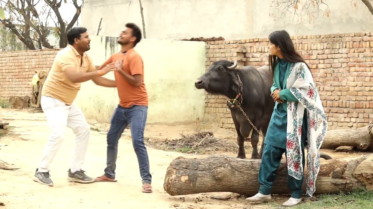 साला आ जाये तो क्या होगा|comedy|Kamal Jabiya comedy|KamalJabiya|jhootharm ki comedy|comedy