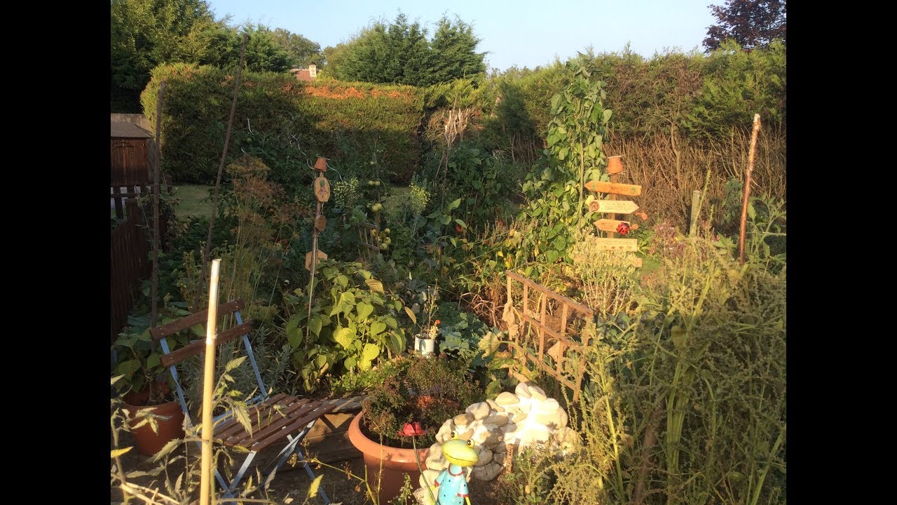 Manque de place au potager 🌿