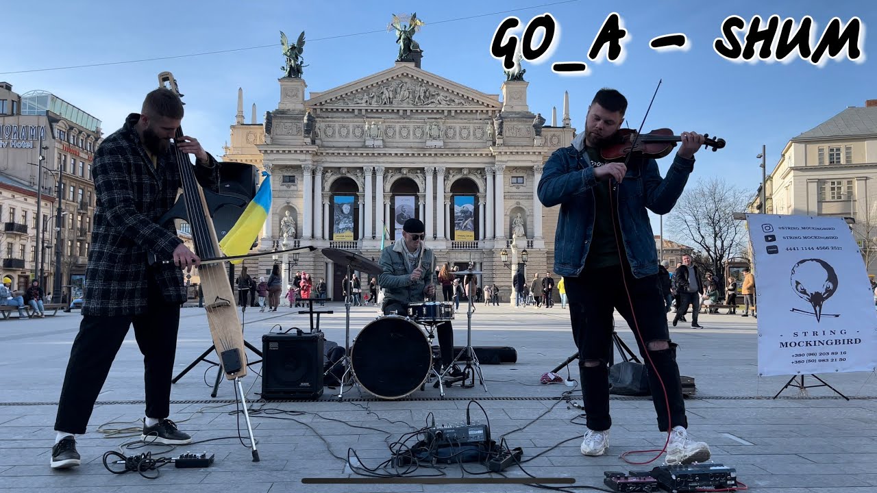Go_A - Shum / cover by String Mockingbird