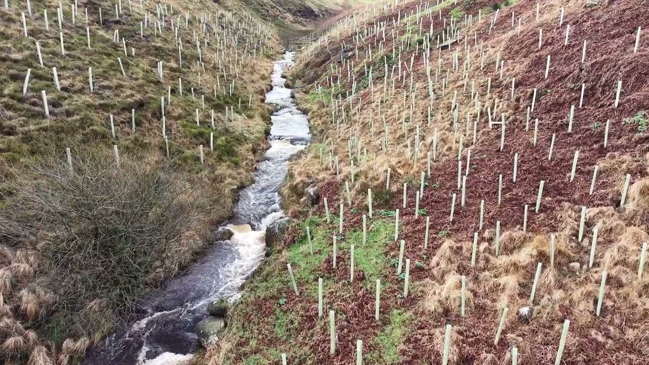 Marsden Hey Green to March Haigh Res (wander) 16 Dec 25 (b)