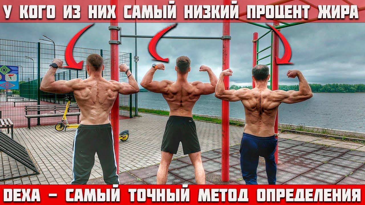 Как выглядит разный процент жира на самом деле?