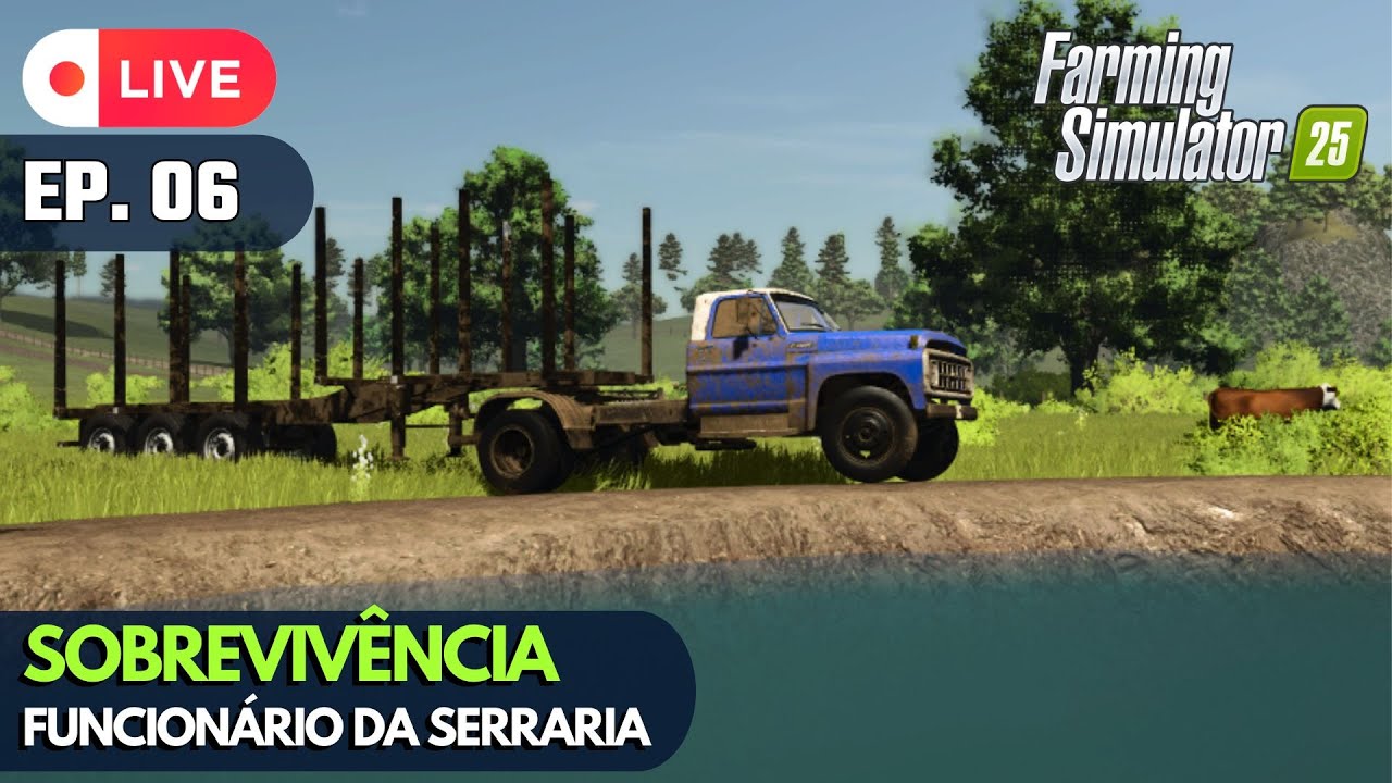 Renda Urgente! VENDENDO MADEIRA PARA CRESCER A OBRA! 🚜💰 | EP 06 | Pirambeiras