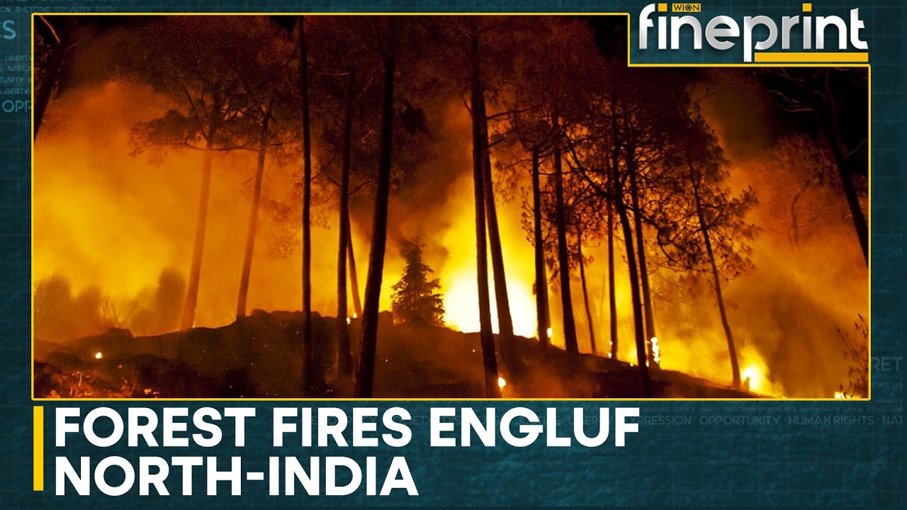 Wildfires Rip Through Himachal, Uttarakhand and J&K Forest Belts | WION Fineprint