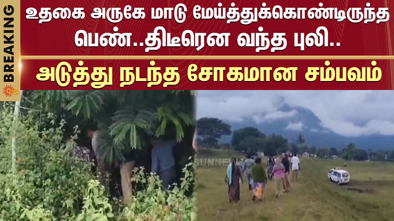 Woman | Tiger | Tragic Incident | Ambulance | Forest Department | Ooty | Details