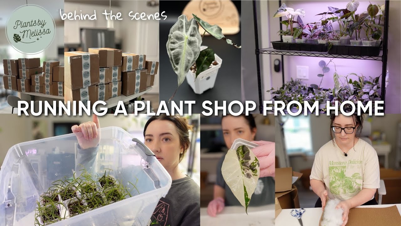 Running a Plant Shop From Home 🌿 | A Week of Plant Restock Prep, Potting & Packing While Sick 🤧