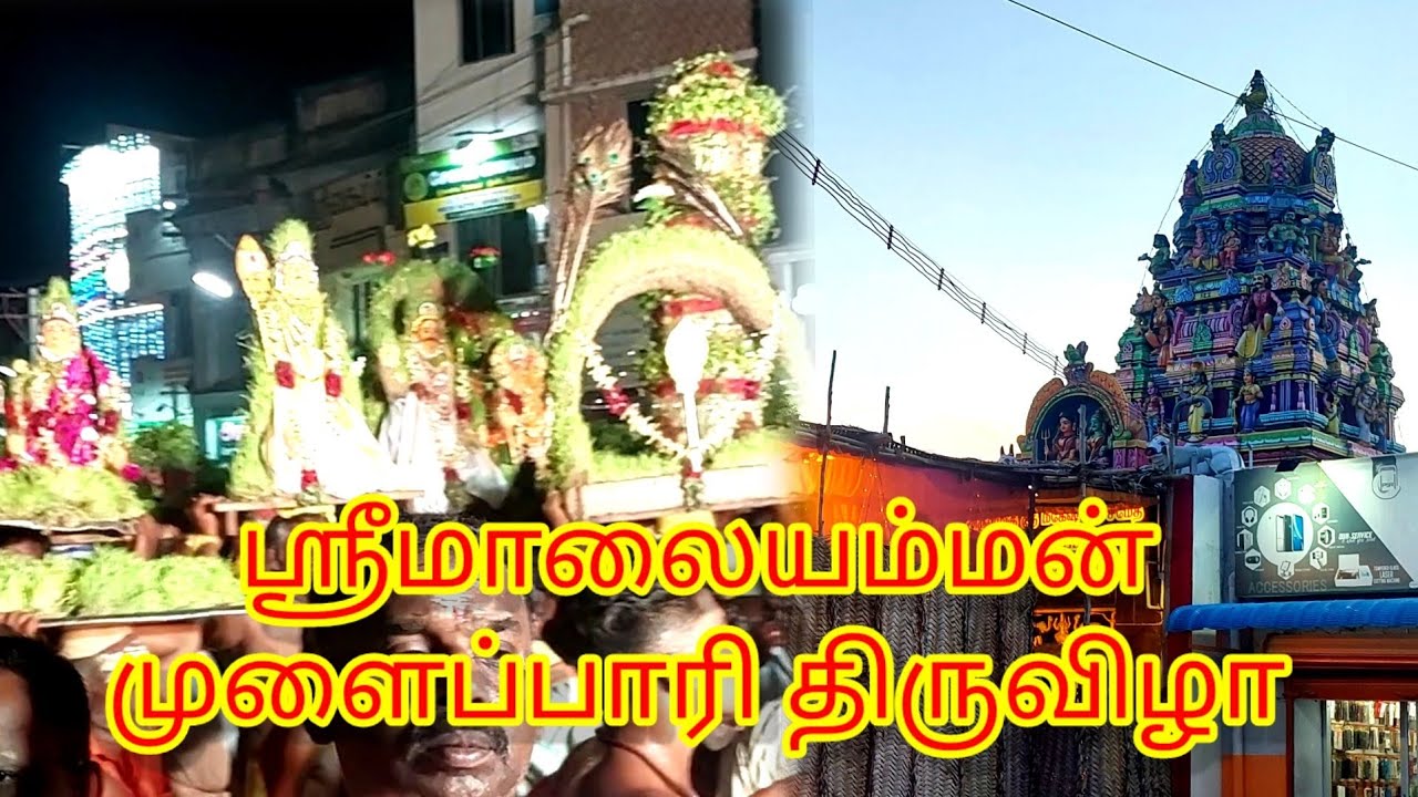 ஸ்ரீ மாலையம்மன்💥முளைப்பாரி கொண்டாட்டம்💥வைகாசி💥பெருந்திருவிழா#kovilpatti #temple #video