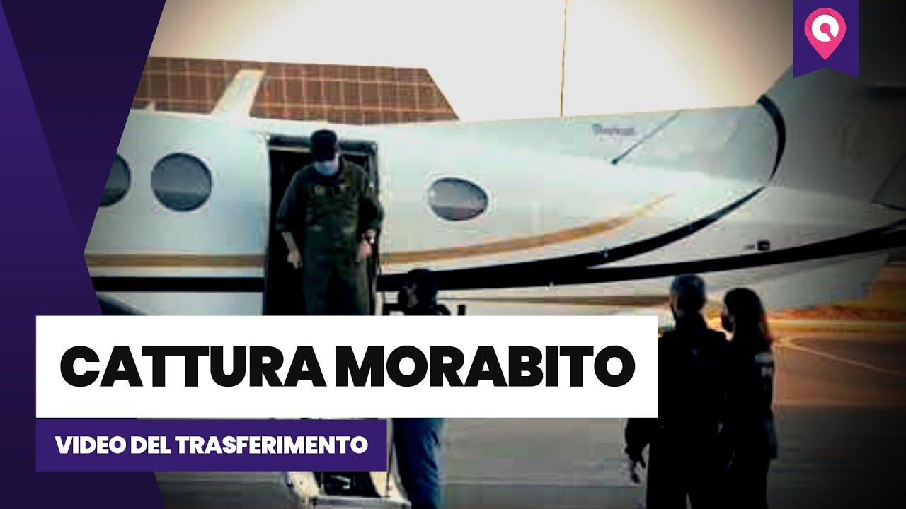 'Ndrangheta, cattura boss Morabito: il video del trasferimento