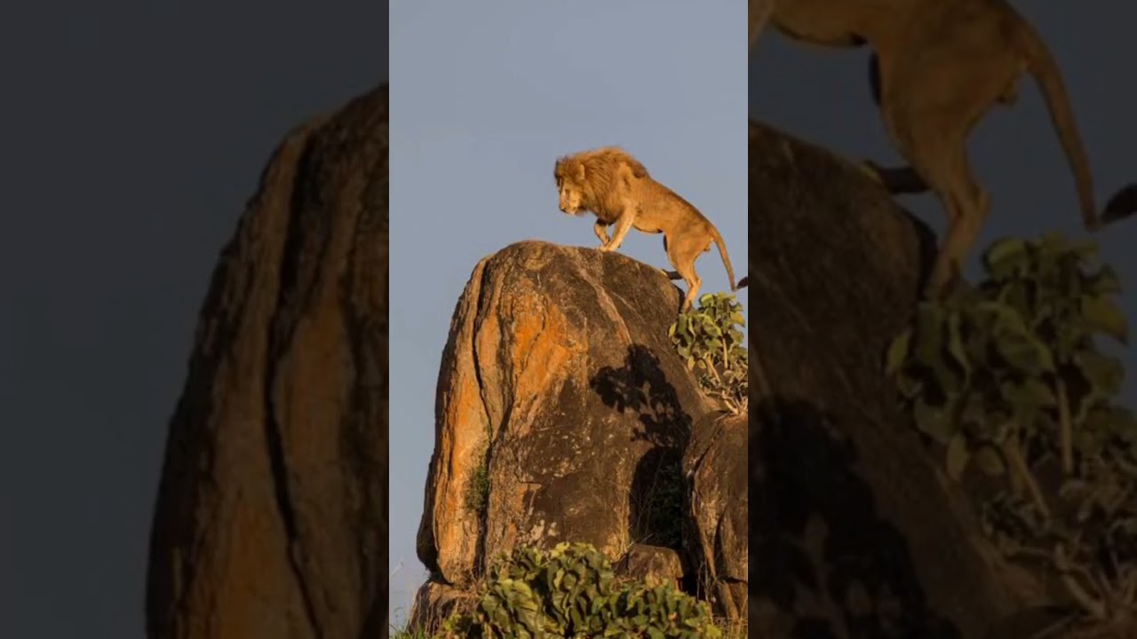 La roca del rey si existe