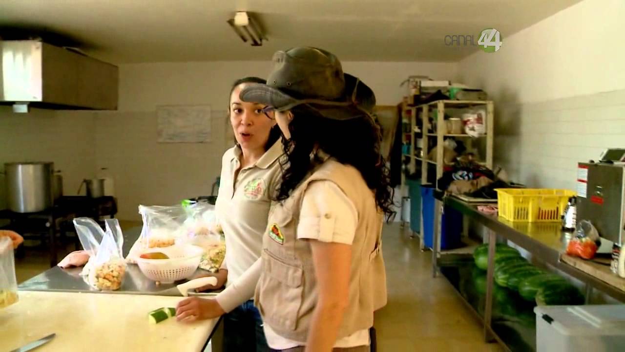 Desde el Zoológico: ¿Qué comen los animales del Zoo?