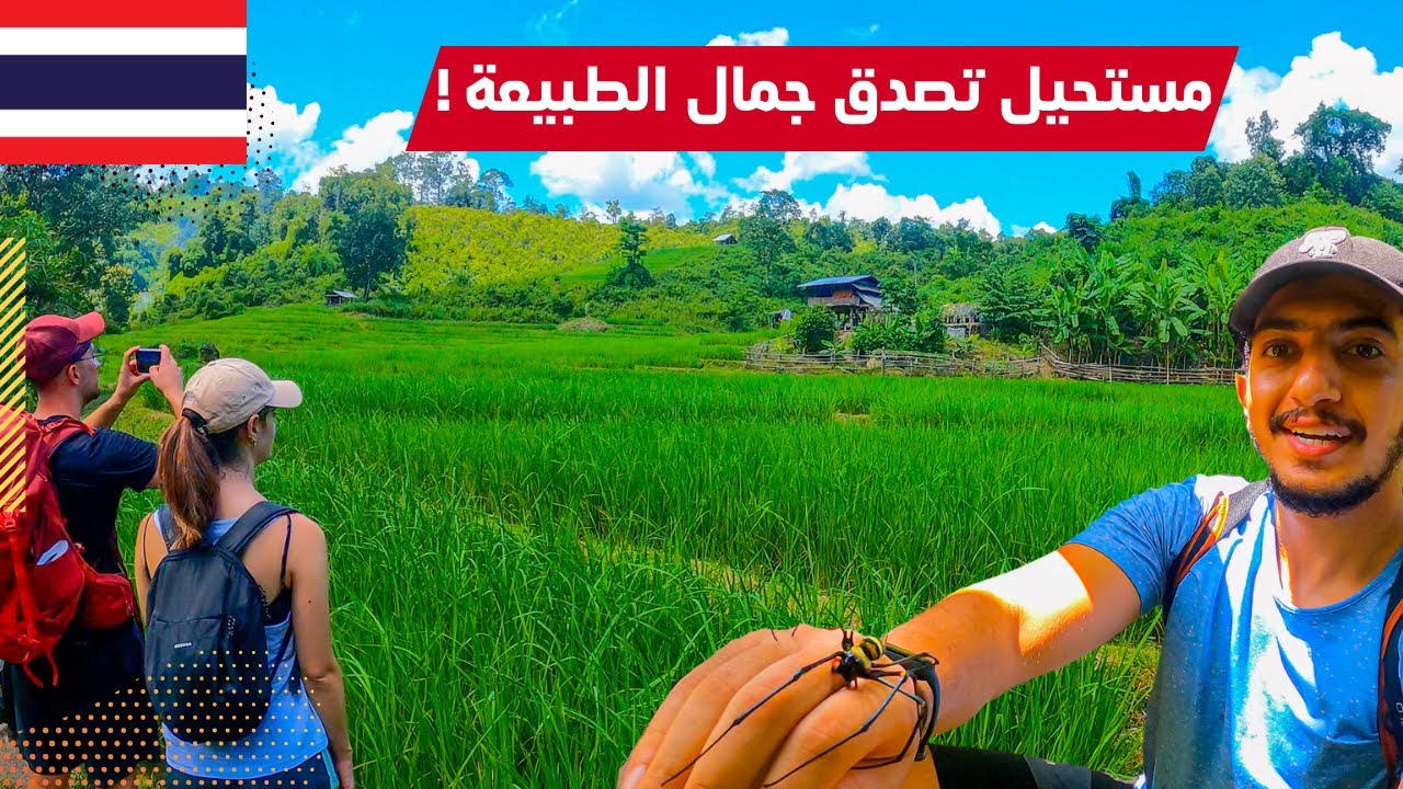 رحلة في غابات تايلاند شانغماي - best jungle tour in chiang mai