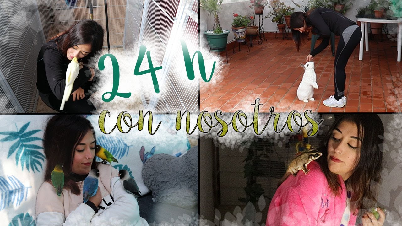 ¡24h con nosotros! - Actualización ahora somos 12
