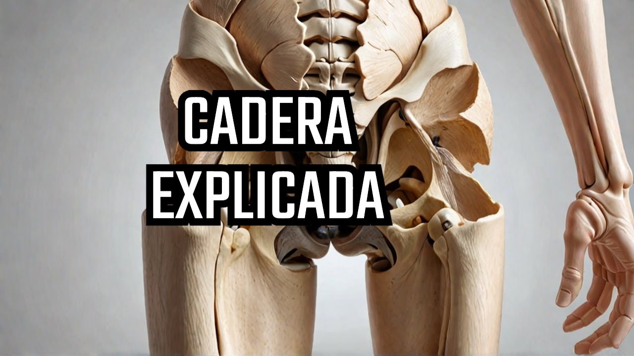 Anatom&iacute;a de la cadera | Lo que nadie te cuenta