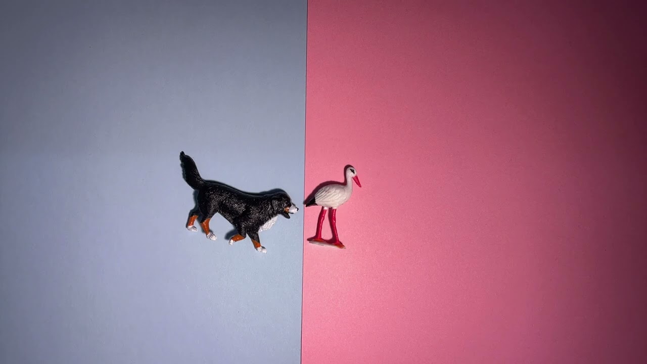 Vogelfutter