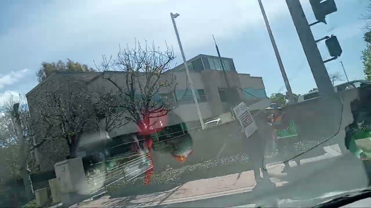 NO KINGS NO ICE PROTEST IN SOCAL - PART 1