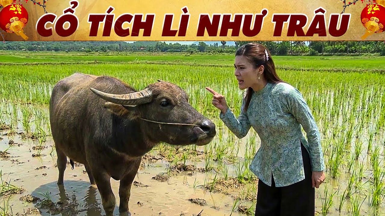CỔ TÍCH 2026 - CỔ TÍCH LÌ NHƯ TRÂU🔥CỔ TÍCH HAY NHẤT🔥PHIM TRUYỆN CỔ TÍCH 2026🔥 CỔ TÍCH VIỆT NAM 🔥THVL