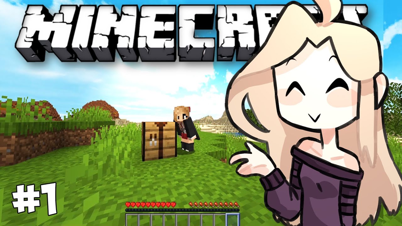 D&eacute;buter en SURVIE MINECRAFT: Premiers OUTILS, Nourriture, r&eacute;glages !! EP 1 ( Tutoriel )