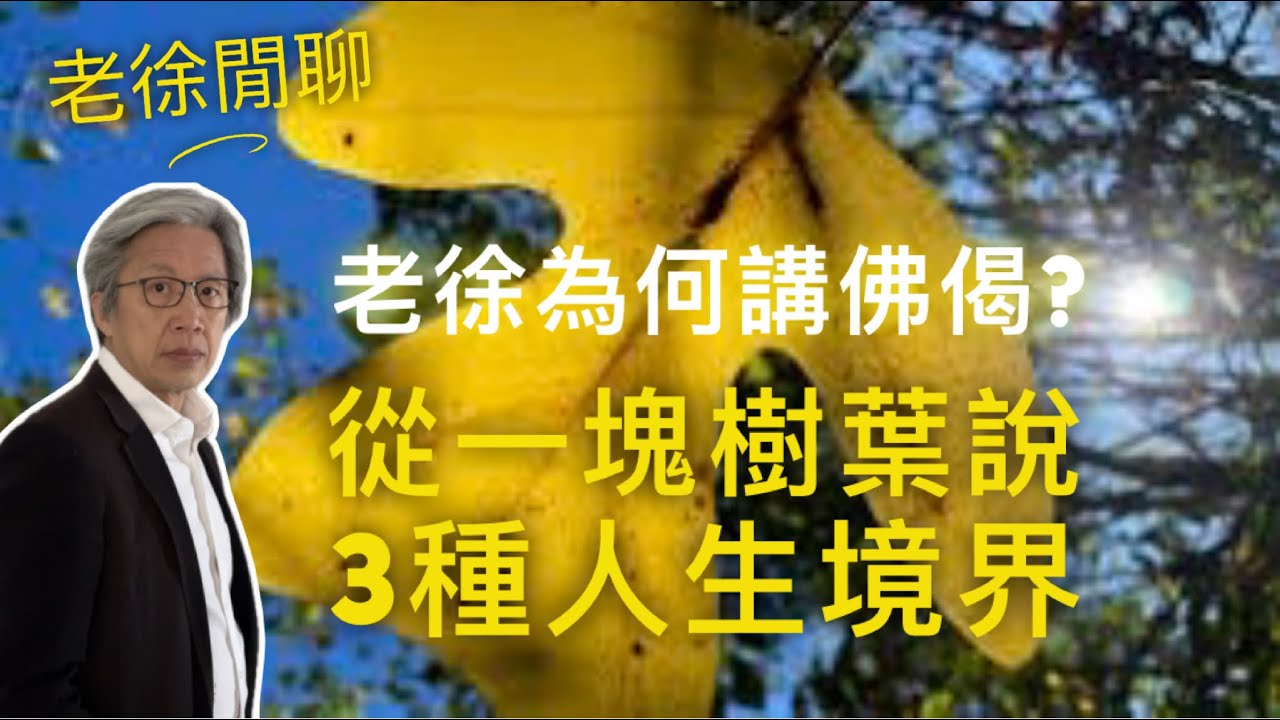 一葉障目、一葉知秋、一葉眾生的三種人生境界。為什麼老徐有時會講佛偈？(直入主題內容：10:59)｜老徐真閒聊